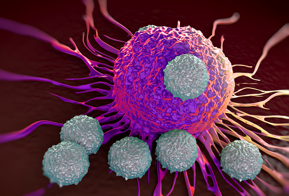 Illustration av T-celler som angriper en cancercell.